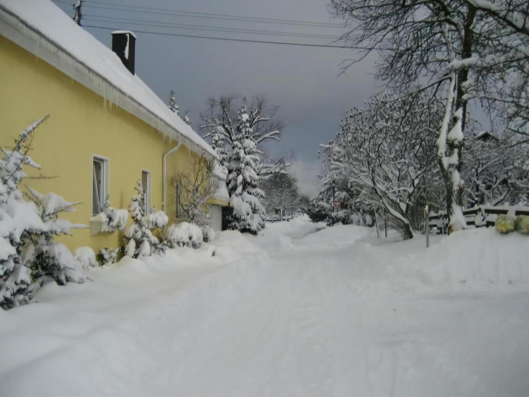 Grosse Ferienwohnung Mit Balkon Und Garten Steinen  Exterior photo